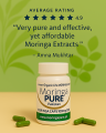 Moringa Capsules 1000mg Moringa Oleifera Pakistan. 