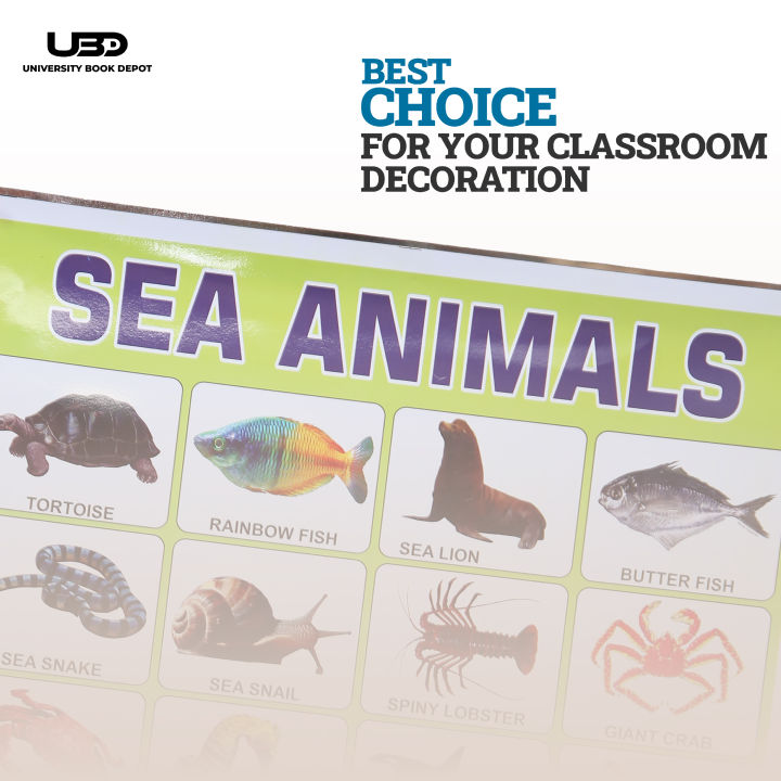 Sea%20Animals%20Wall%20charts%20For%20classroom%20%7C%20High%20Quality%20Sea%20Animals%20Chart%20on%20200%20grams%20Laminated%20Card%20%7C%20Preschool%20Decoration%20-%20Image%204