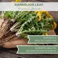 Organic Dandelion Leaf 4 oz. (113g), USDA Certified Organic Dandelion Leaf Tea, Diente de Leon Organico, Dandelion Leaves Organic, Herb, Diente Deleon... 113gm. 