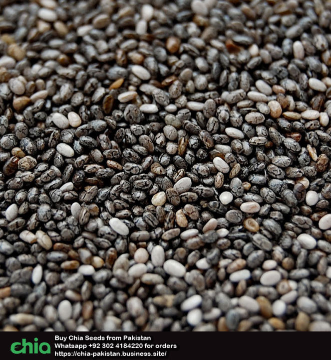 CHIA%20SEEDS%20Pakistan:%20Black%20organic%20Chia%20100%25%20Original%20Imported%20100g%20-%20Image%206