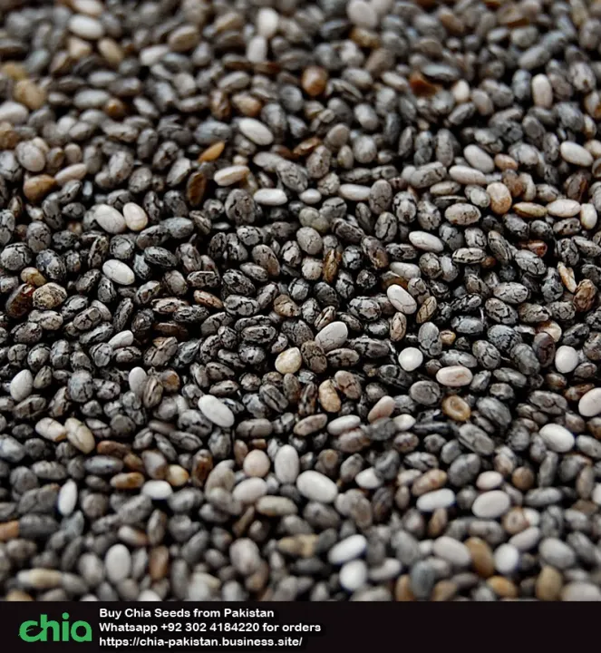 CHIA%20SEEDS%20Pakistan:%20Black%20organic%20Chia%20100%25%20Original%20Imported%20100g%20-%20Image%206