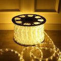 Warm White Flexible Rope Led Strip Light Water Proof with Adapter - Multiple Sizes LED Rope Light for Indoor and Outdoor Use Long Life Bulb Rope Light. 