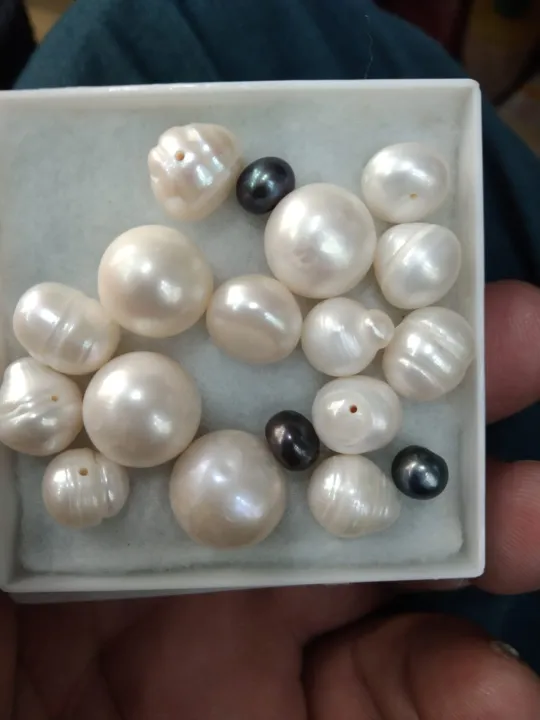 REAL%20PEARL%20100%25%20REAL%20-%20Image%206