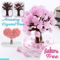 DIY Growing Tree Paper Sakura Crystal Trees Desktop Cherry Blossom Toys Paper Tree Gift Novelty Toy Exploring Science. 