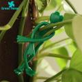 Branch Support Adorable Frog-shaped Plant Ties for Garden Enthusiasts Set of 10 Reusable Cable Ties for Tree Branch Plant Support. 