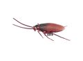Robo Alive Crawling Cockroach. 