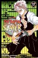 Demon Slayer: Kimetsu no Yaiba, Vol. 17 by Koyoharu Gotouge (Author). 