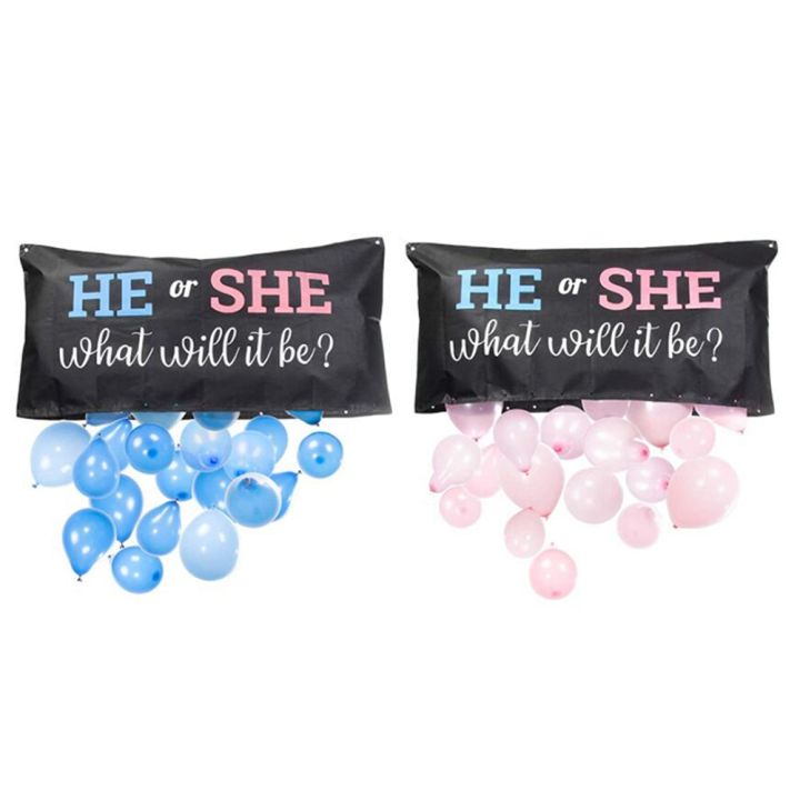 ARELENE the Perfect Addition to Your Gender Reveal Party Supplies Gender Reveal Balloon or Girl