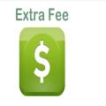 Extra Shipping fee for Buyer. 