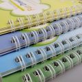 Children's Magic book,  Practice Copybook Set - Reusable Handwriting 4 Magic Books Set for Kids with Writing and Calligraphy - Includes 1 Magic Pen, 10 Refills, and 1 Grip. 