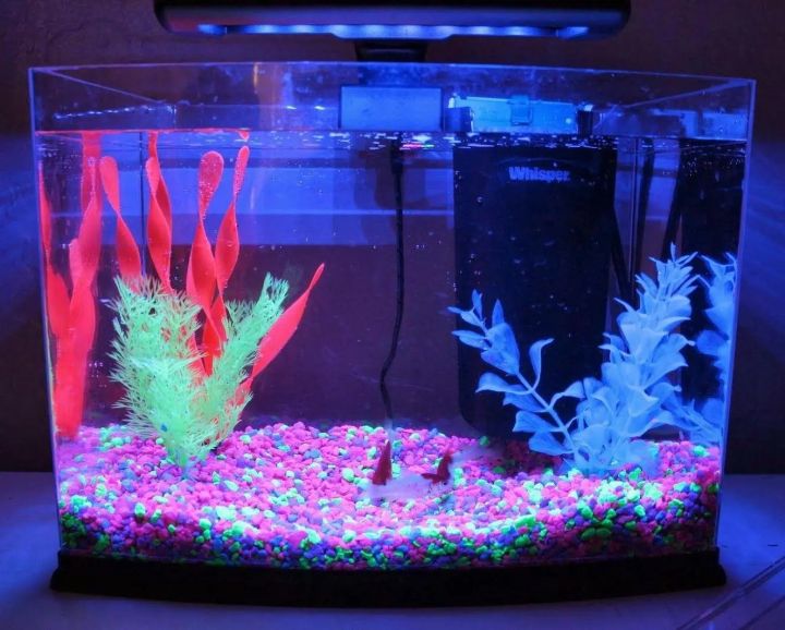 Aquarium fish tank price best sale