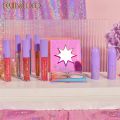 KEVIN&COCO 12 Color Lips Tick Set. 