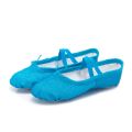 Blue / pink Girls Ballet Shoes Girls Ballet flats Gym Slippers Children Women Ballet Dance Shoes size 23-42. 