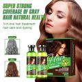 Lichen Hair Color Gel Dark Brown Argan Oil 250 ml x 2 = 500 ml. 