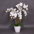 Artificial White Orchid Flower with Black Planter.. 