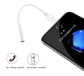 Iphone to Aux Convertor. 