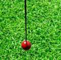 Premium Swing Ball Training - High-Quality Hanging Hard Ball with Rope for Bat Stroke Practice. 