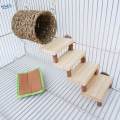 Hamster Hiding House Climbing Cage Accessory Playing Hamster Hut for Dwarf Hamster Mice. 
