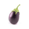 F-1 Hybrid Brinjal gool begun seeds kitchen gardening. 