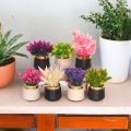 Artificial Flower 7 Piece Set Desktop Fake Plants Table Plastic Vase Fake Flower Wedding Christmas Decoration for Home Gift. 