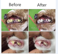 pertty Three Sided Pet Toothbrush Dog Brush Addition Bad Breath Tartar Teeth Care Dog Cat Cleaning Mouth. 