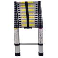 Adjustable Aluminium 10 Steps Folding Ladder Having Height 2.9 Meter for Garden,Store Room,Godaun(Height 9.5 Feet,Black & Silver). 