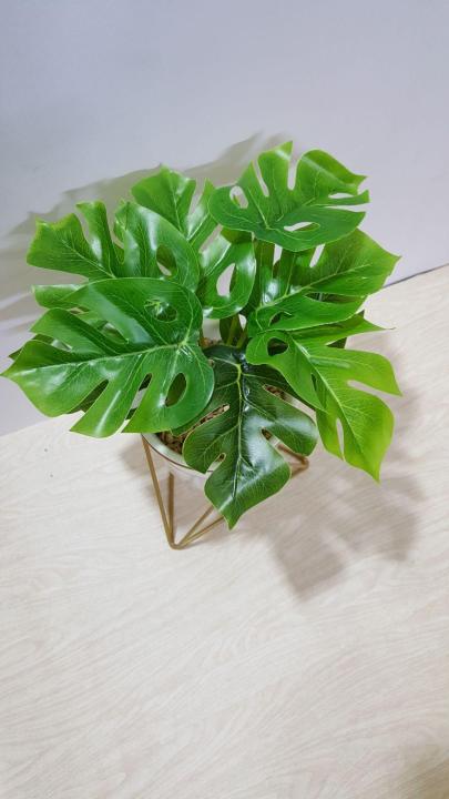 Ceramic%20pot%20with%20plant%20and%20metallic%20stand%20-%20Image%205