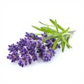 Lavender Powder 100g Lavender Powder 100g. 