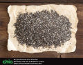 CHIA SEEDS Pakistan: Black organic Chia 100% Original Imported 100g. 