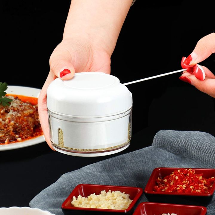 Manual Food Chopper - Mini Hand Pull Food Processor Garlic Press Mincer Vegetable Grinder for Meat Nuts Pepper