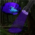 21 LED UV Ultraviolet Flashlight Purple Light Mini Torch Flash Lamp For Pet Urine Stains Portable Black Light Flashlights 1Pcs. 