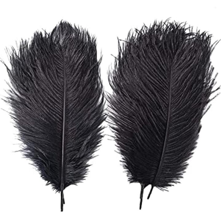 Pack Of 2 - Black Ostrich Feathers – Ostrich Feathers For Sale