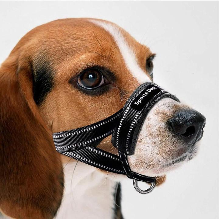 Long muzzle dog best sale