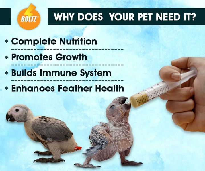 BOLTZ%20Natural%20Hand%20Feeding%20Formula%20for%20Exotic%20Baby%20Bird%20Chicks%20-%20500%20GM,%20White,%20Medium,%20(Model:%20HANDFEED)%20-%20Image%204