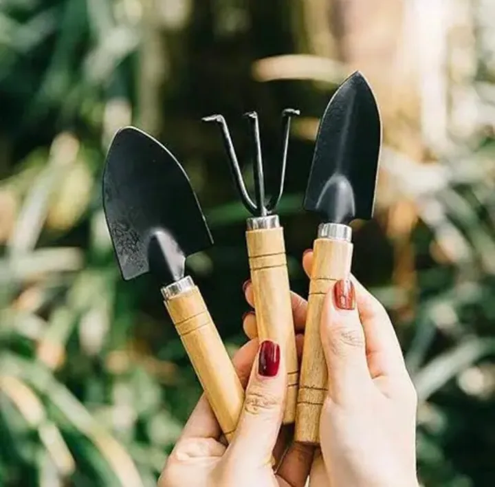 Pack%20of%203%20Gardening%20tool%20set%20Wooden%20Handle%20,%20Set%20of%203%20Piece%20Garden%20Tool%20set,%20Gardening%20Tools,%20extremely%20High%20Quality%203pcs%20/%20set%20Mini%20Garden%20Tools%20Wood%20Handle%20Stainless%20Steel%20Potted%20Shovel%20Rake%20Spade%20for%20Flowers%20Potted%20Plant%20-%20Image%206