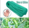 Anti Bird Net - Nylon Netting for Protection Against Birds and Pests - Balcony Safety Net 2 x 10 meter (IMPORTED). 