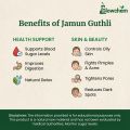 GlowChem Jamun Seed Powder (Jamun Guthli) – 100% Natural Remedy for Diabetes Support & Blood Sugar Control – Pure Syzygium Cumini Extract for Oily Skin, Acne & Pores (Black Plum) (100 g). 