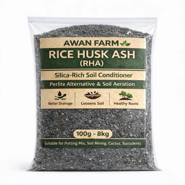100g - 8 kg | Rice Husk Ash (RHA) – Silica-Rich Soil Conditioner ...