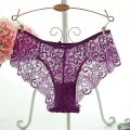 Women Full Lace Panties High-Crotch Transparent. 