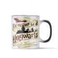 Harry Potter Magic mug (I'd rather be at Hogwarts). 