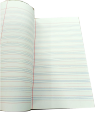 240 Pages 3 in 1 Combine Fair Register Decent Everist 27 Lines Card register Pack of 01 Pcs. 