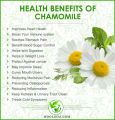 Chamomile Tea 100 & 50gm Packs  - Sleep Relaxation ,Digestion , Diabetes ,Anxiety ,Inflammation Boost immunity Improves heart health. 