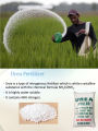 Urea 1 KG For All Plants Fertilizer. 