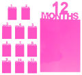 Monthly Photo Banner 1st Birthday Baby Photo Banner for 1 to 12 Months Celebration Bunting Decor Quality Thickened Card Paper Birthday Party Celebration Decor. 