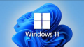 Windows 11 Pro Digital Form Crack Activated. 