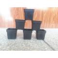Flower Pots, 2 x 2 inch, 6 Nos Pots. 
