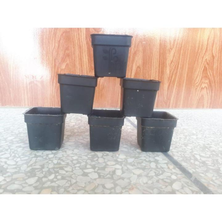 Flower Pots, 2 x 2 inch, 6 Nos Pots