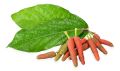FILFIL LONG PEPPER 100 Gm. 