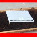 Queen Bee Isolator Introducing Cage Plastic Equipment Reusable Beekeeping Yellow. 