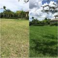 Green Grass Lawn Care Use For All Garden Solution 1.5 kg. 